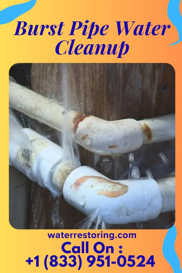 Burst Pipe Water Cleanup in Gibraltar, PA
