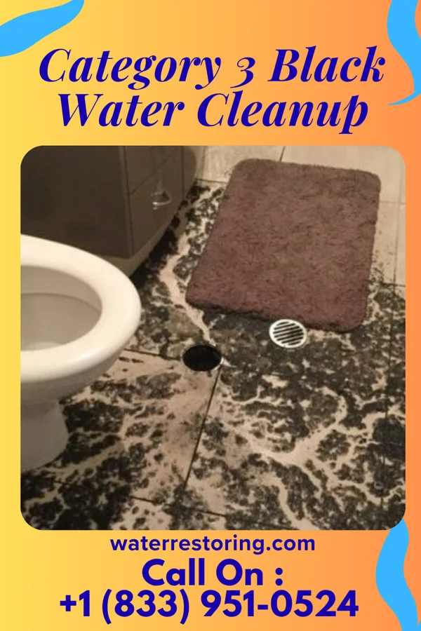 Category 3 Black Water Cleanup in Gibraltar, PA