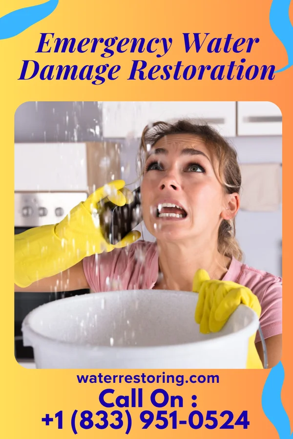 Emergency Water Damage Restoration in Gibraltar, PA