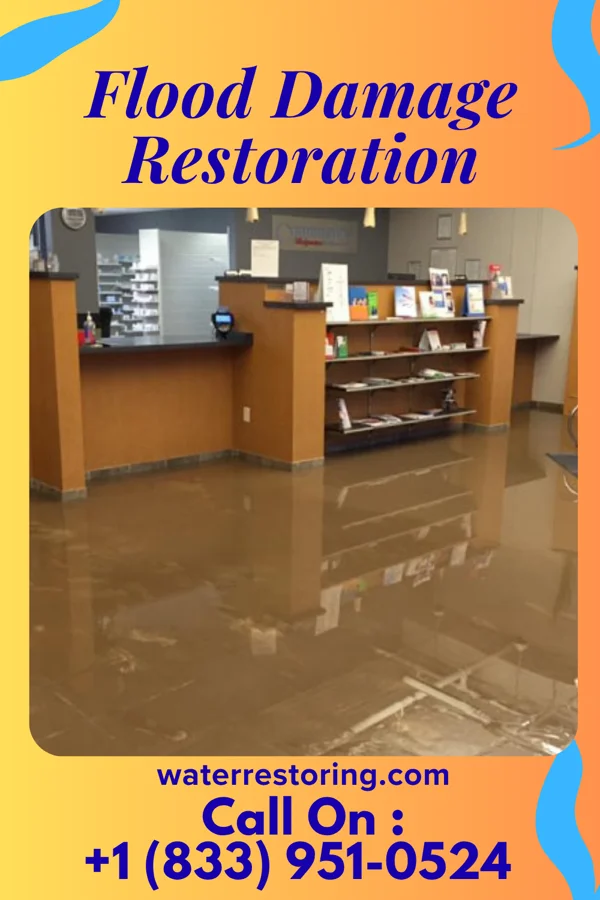 Flood Damage Restoration in Gibraltar, PA
