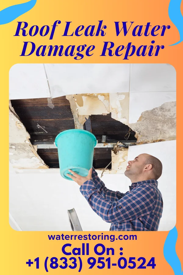 Roof Leak Water Damage Repair in Gibraltar, PA
