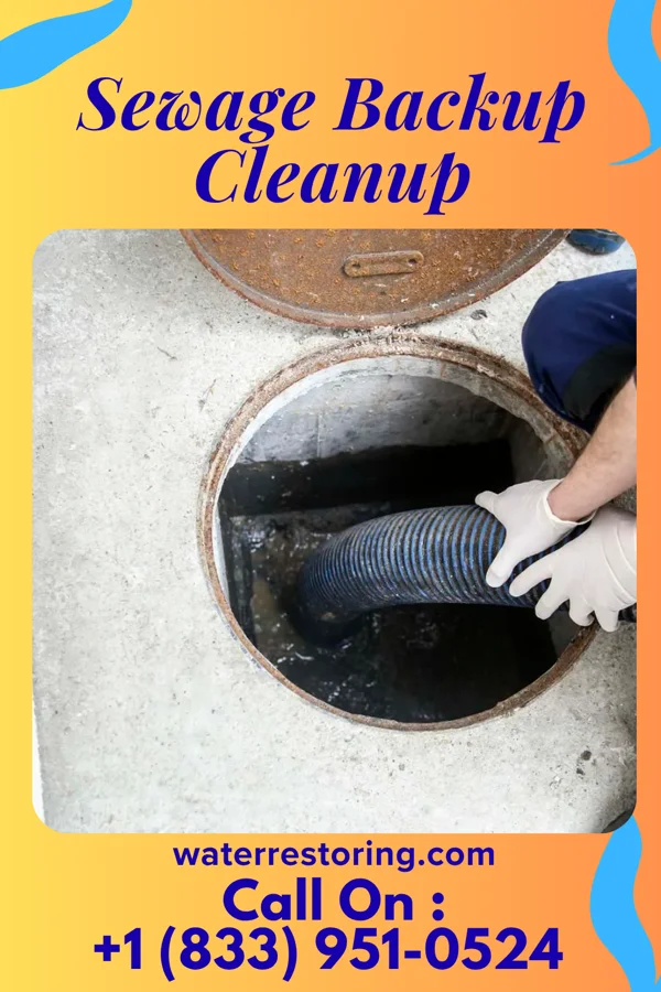 Sewage Backup Cleanup in Gibraltar, PA